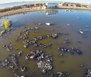 garbage in Haitian water way