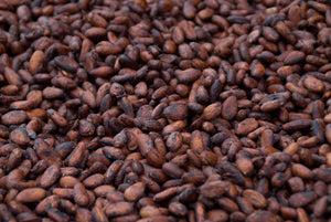 cacao beans